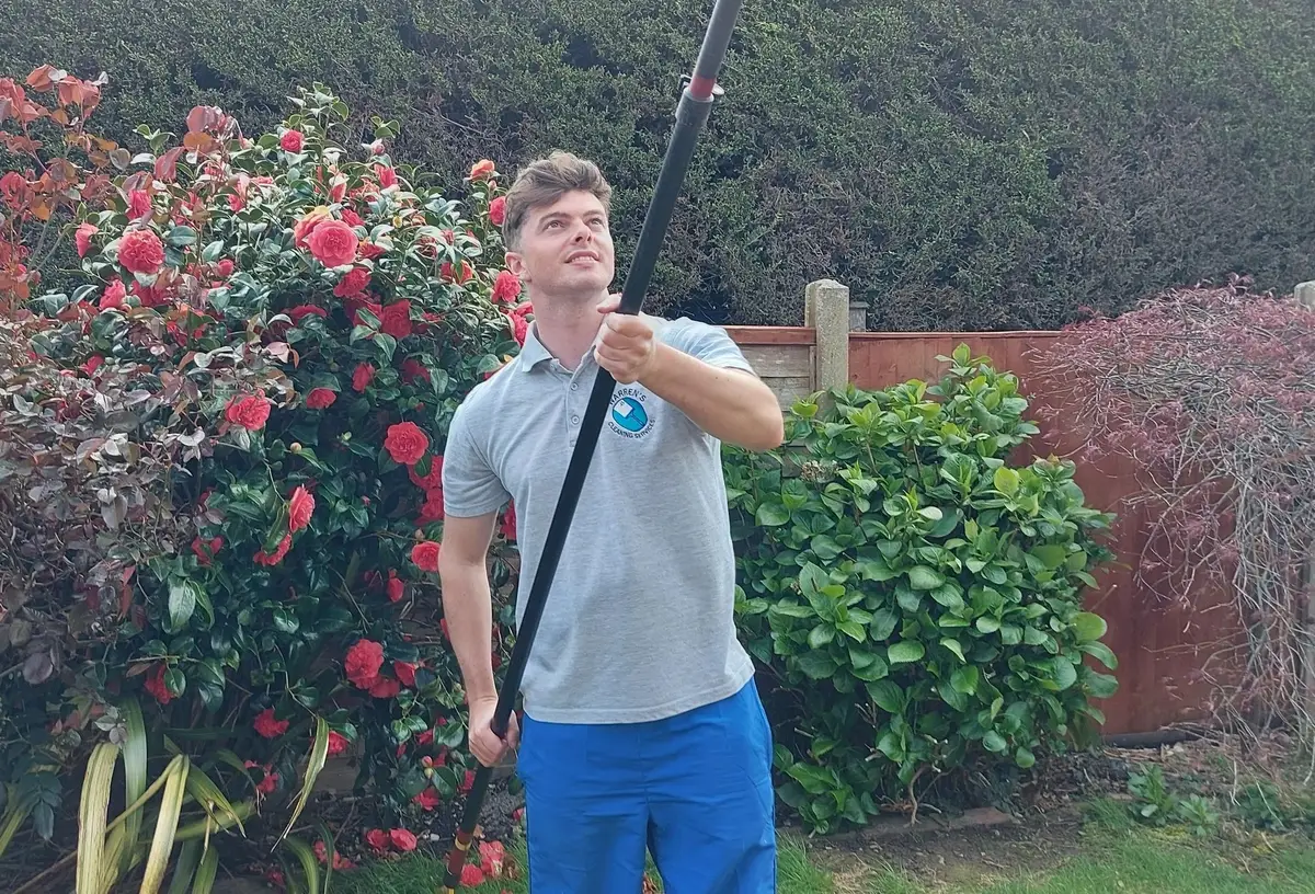 Warren using his water-fed pole in front of a hedge and flowering camellia